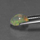 Opal from The Source