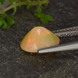 Opal from The Source
