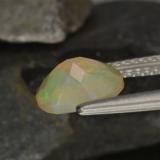 Opal from The Source