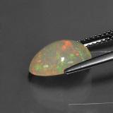 Opal from The Source