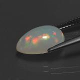 Opal from The Source