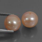 Pearl from The Source