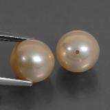 Pearl from The Source