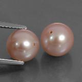 Pearl from The Source