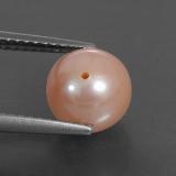 Pearl from The Source