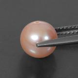 Pearl from The Source