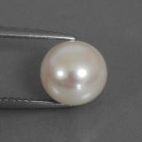 Pearl from The Source