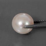 Pearl from The Source