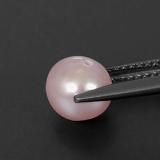 Pearl from The Source