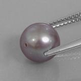Pearl from The Source