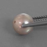 Pearl from The Source