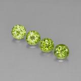 6mm Round Facet Peridot 4ct
