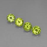 4 carat Lively Green Round Facet Peridot 6 mm