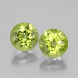 6 mm Peridot 1.5ct Round Facet in Lively Green