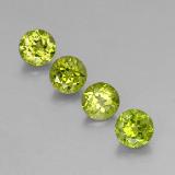 4 carat Lively Green Round Facet Peridot 6mm