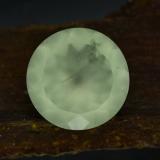 14 mm Round Facet Prehnite 9ct