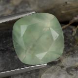 12mm x 12 Prehnite 7ct Cushion Cut in Green