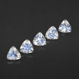 Rainbow Moonstone from The Source