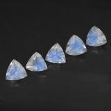 Rainbow Moonstone from The Source