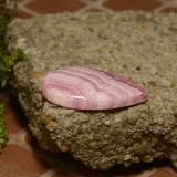 Rhodochrosite from The Source