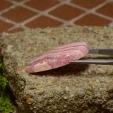 Rhodochrosite from The Source