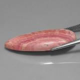 Rhodochrosite from The Source