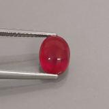 Ruby from The Source