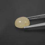 Rutile Quartz from The Source