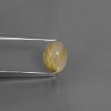 Rutile Quartz from The Source