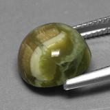 Serpentine from The Source
