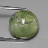 Serpentine from The Source