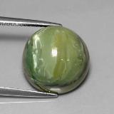 Serpentine from The Source