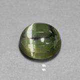 13.5mm Serpentine 8ct Round Cabochon in Yellowish Green