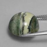 Serpentine from The Source