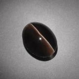 Sillimanite Cat's Eye from The Source
