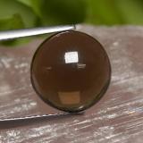 6 carat Smoky Brown Round Cabochon Smoky Quartz 12 mm