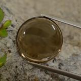 6 ct Transparent/Translucent Round Cabochon Smoky Quartz 12mm