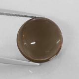 12.5mm Smoky Quartz 7ct Round Cabochon in Smoky Brown