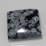 Snowflake Obsidian from The Source
