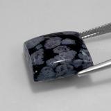 Snowflake Obsidian from The Source