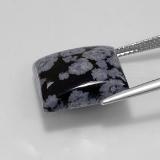 Snowflake Obsidian from The Source