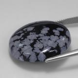 Snowflake Obsidian from The Source