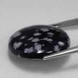 Snowflake Obsidian from The Source