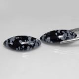 Snowflake Obsidian from The Source
