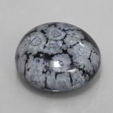 Snowflake Obsidian from The Source