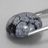 Snowflake Obsidian from The Source