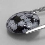 Snowflake Obsidian from The Source