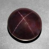 19 carat Black Red Oval Cabochon Star Garnet 14.5mmx13.5mm