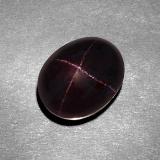 12.5x10 Star Garnet 11ct Oval Cabochon in Black Red