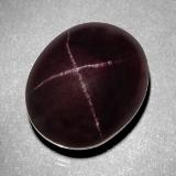15x12 Oval Cabochon Star Garnet 16ct